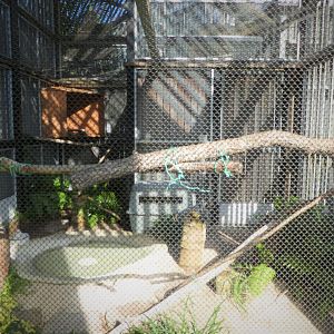 Wildlife Viewing Pavilion - Barred Owl Exhibit