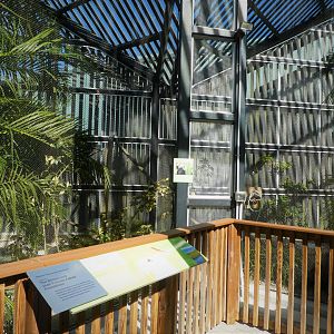 Wildlife Viewing Pavilion - Southern Bald Eagle Exhibit