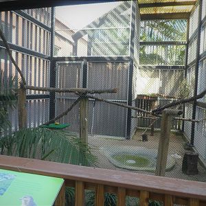 Wildlife Viewing Pavilion - Florida Red-tailed Hawk Exhibit