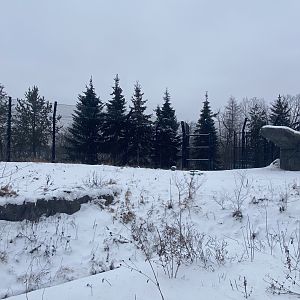 Polar Bear Odyssey - Polar Bear Exhibit #1