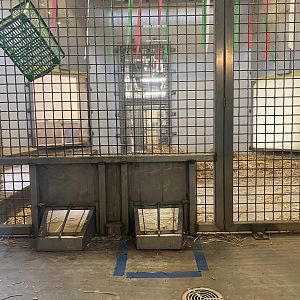 Polar Bear Odyssey - Indoor Polar Bear Exhibit