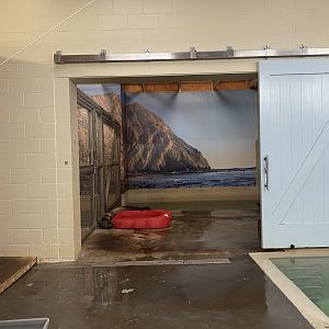 Aquatics Building - Indoor California Sea Lion Exhibit
