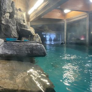 Aquatics Building - Tufted Puffin Exhibit