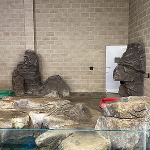 Aquatics Building - Pinniped Indoor Exhibit