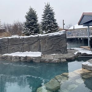 Como Harbour - Cove Exhibit