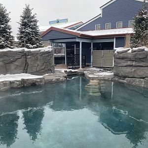 Como Harbour - Cove Exhibit