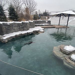 Como Harbour - Main Exhibit