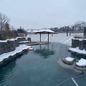 Como Harbour - Main Exhibit