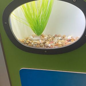 RibbitZibbit - Tadpole Display