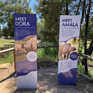 Dora and Amala signs