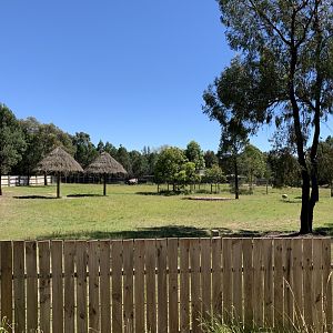 Greater One-horned Rhino exhibit