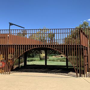 African Wild Dog Viewpoint