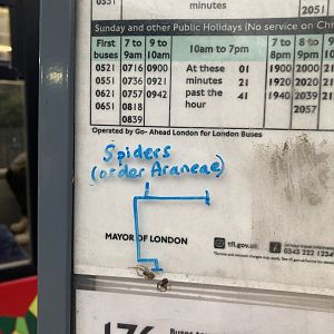 Oddly intellectual graffiti at the bus stop