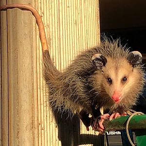 Big Things Are Coming In 2022! - YouTube