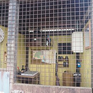 Theming in the African area - Garamba National Park ranger station, 2021-10-10