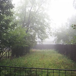 Old antelope separation paddock - Normally off-show, 2021-10-10