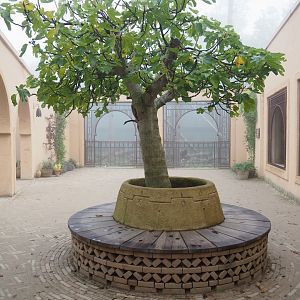 Barbary macaque viewing areas in the Moroccan pavilion, 2021-10-10