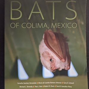 Bats of Colima, Mexico