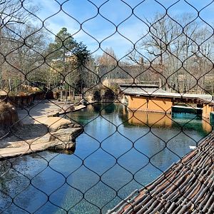 Hippo exhibit overlook