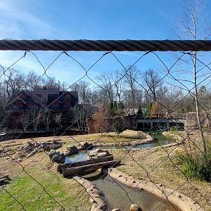 Grizzly/black bear rotational habitat