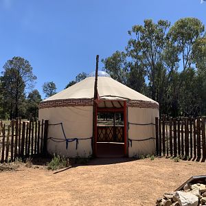 Wild Herds Walk-through