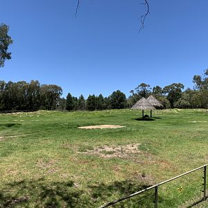 Black Rhino Paddock