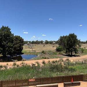 Savannah from the Viewing Tower