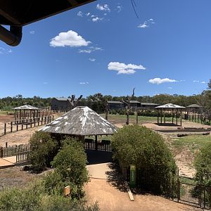 Elephant Yards from the Viewing Tower