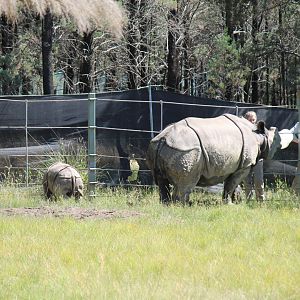Keepers with Amala and Hari
