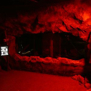 New Guinea ground cuscus enclosure (Twilight World Desert area)