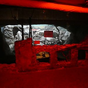 Former Yellow mongoose enclosure (Twilight World Desert area)