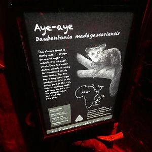 Twilight World signage style