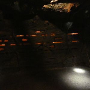 Naked mole rat enclosure (Twilight World Underground area)