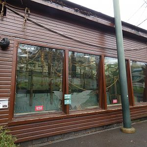 Livingstone's fruit bat house