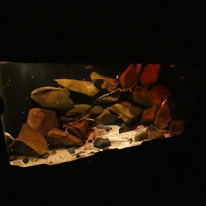 Cave fish enclosure (Twilight World underground area)