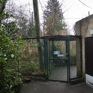 Entrance to Livingstone's Fruit bat enclosure