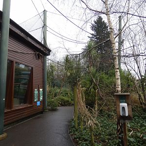 Livingstone's fruit bat walk-through enclosure