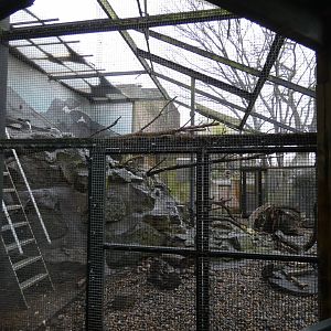 Side view of Kea aviary