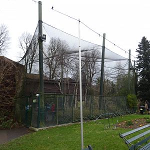 Livingstone's fruit bat enclosure exterior
