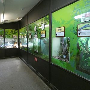 Reptile nursery area