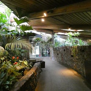 View in reptile house