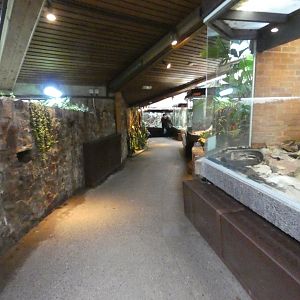 View in reptile house (2)