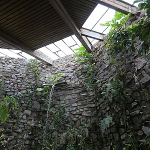 Reptile house waterfall
