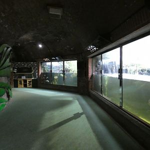 View in Aquarium