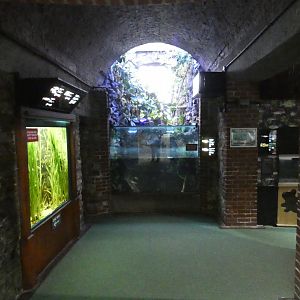 View of aquarium (2)