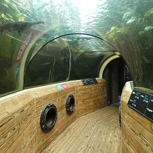Mississippi underwater viewing tunnel