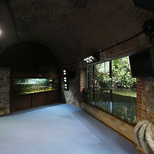 View in Aquarium (3)