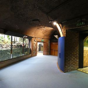 View in Aquarium (4)