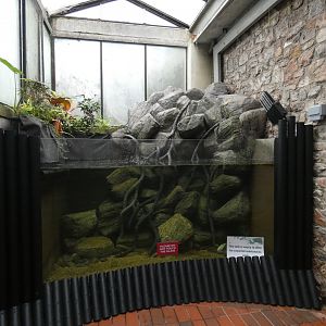 Empty tank end of aquarium