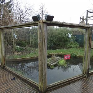 Former otter enclosure